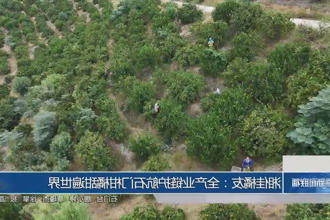 澳门新葡新京在线