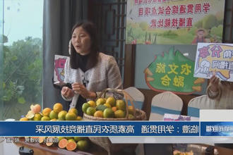 澳门新葡新京在线