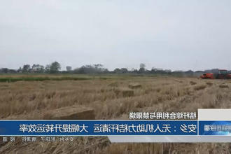 澳门新葡新京在线