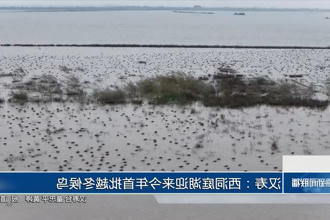 澳门新葡新京在线
