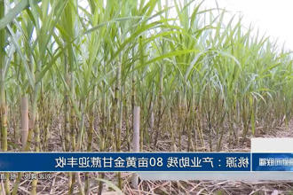 澳门新葡新京在线