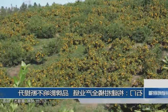 澳门新葡新京在线