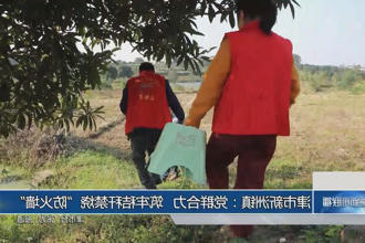 澳门新葡新京在线