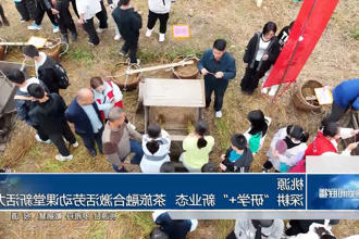 澳门新葡新京在线
