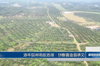 澳门新葡新京在线