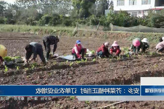 澳门新葡新京在线