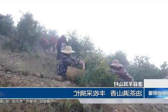 澳门新葡新京在线