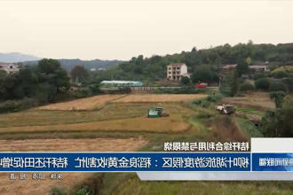 澳门新葡新京在线