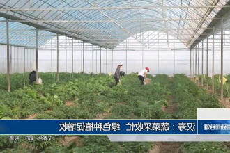 澳门新葡新京在线