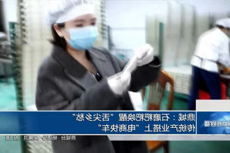 澳门新葡新京在线