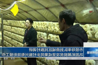 澳门新葡新京在线