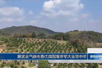 澳门新葡新京在线