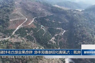 澳门新葡新京在线