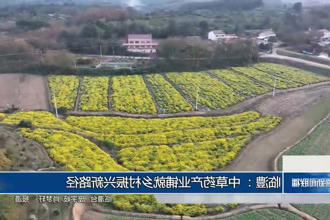 澳门新葡新京在线