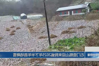 澳门新葡新京在线