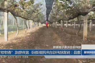 澳门新葡新京在线