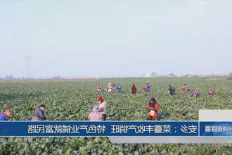 澳门新葡新京在线