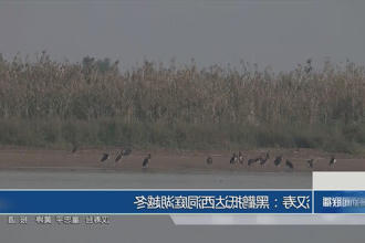 澳门新葡新京在线