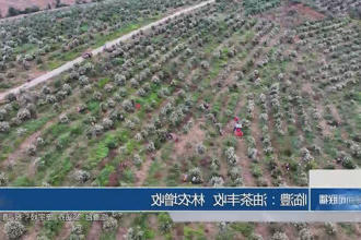 澳门新葡新京在线