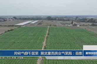 澳门新葡新京在线