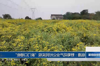 澳门新葡新京在线