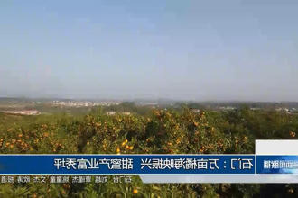 澳门新葡新京在线