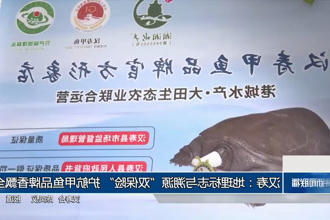 澳门新葡新京在线