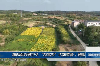 澳门新葡新京在线