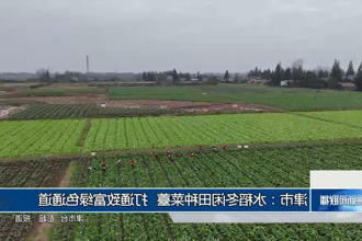 澳门新葡新京在线