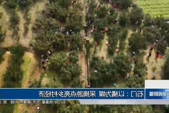 澳门新葡新京在线
