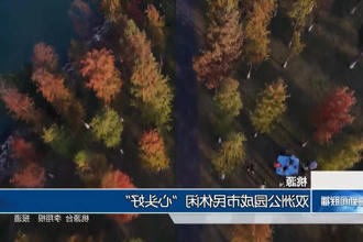 澳门新葡新京在线