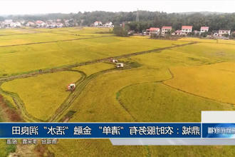 澳门新葡新京在线