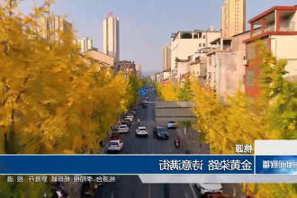 澳门新葡新京在线