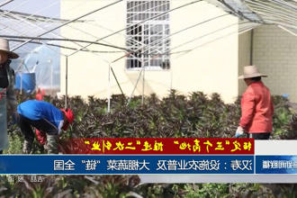 澳门新葡新京在线