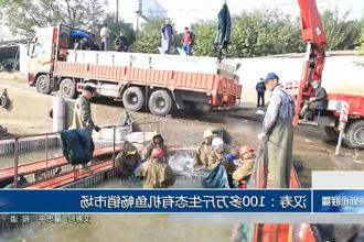 澳门新葡新京在线