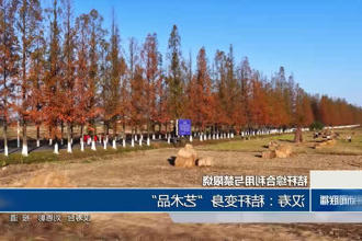 澳门新葡新京在线