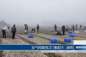 澳门新葡新京在线