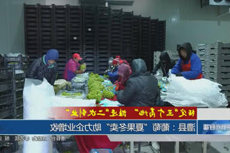 澳门新葡新京在线