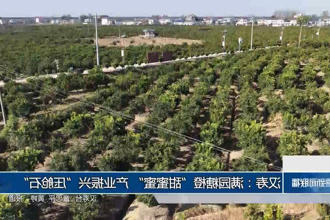 澳门新葡新京在线