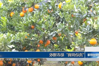 澳门新葡新京在线