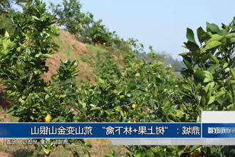 澳门新葡新京在线
