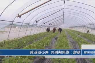 澳门新葡新京在线