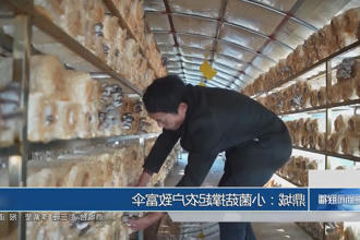 澳门新葡新京在线