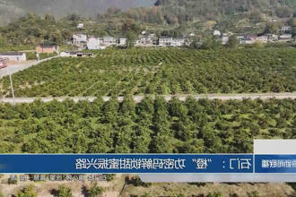 澳门新葡新京在线