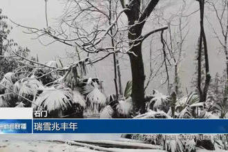 澳门新葡新京在线