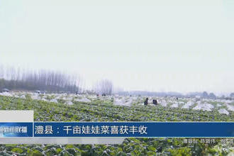 澳门新葡新京在线