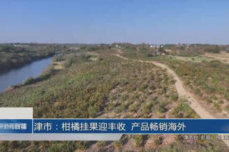 澳门新葡新京在线