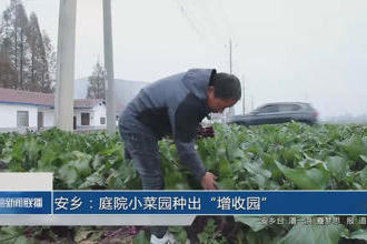 澳门新葡新京在线