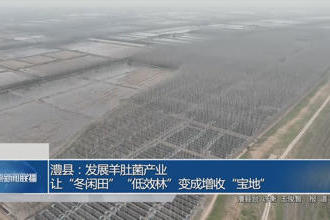 澳门新葡新京在线