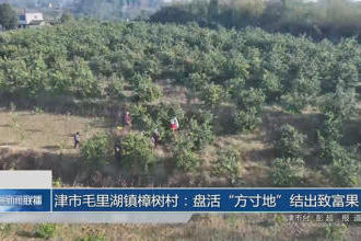 澳门新葡新京在线
